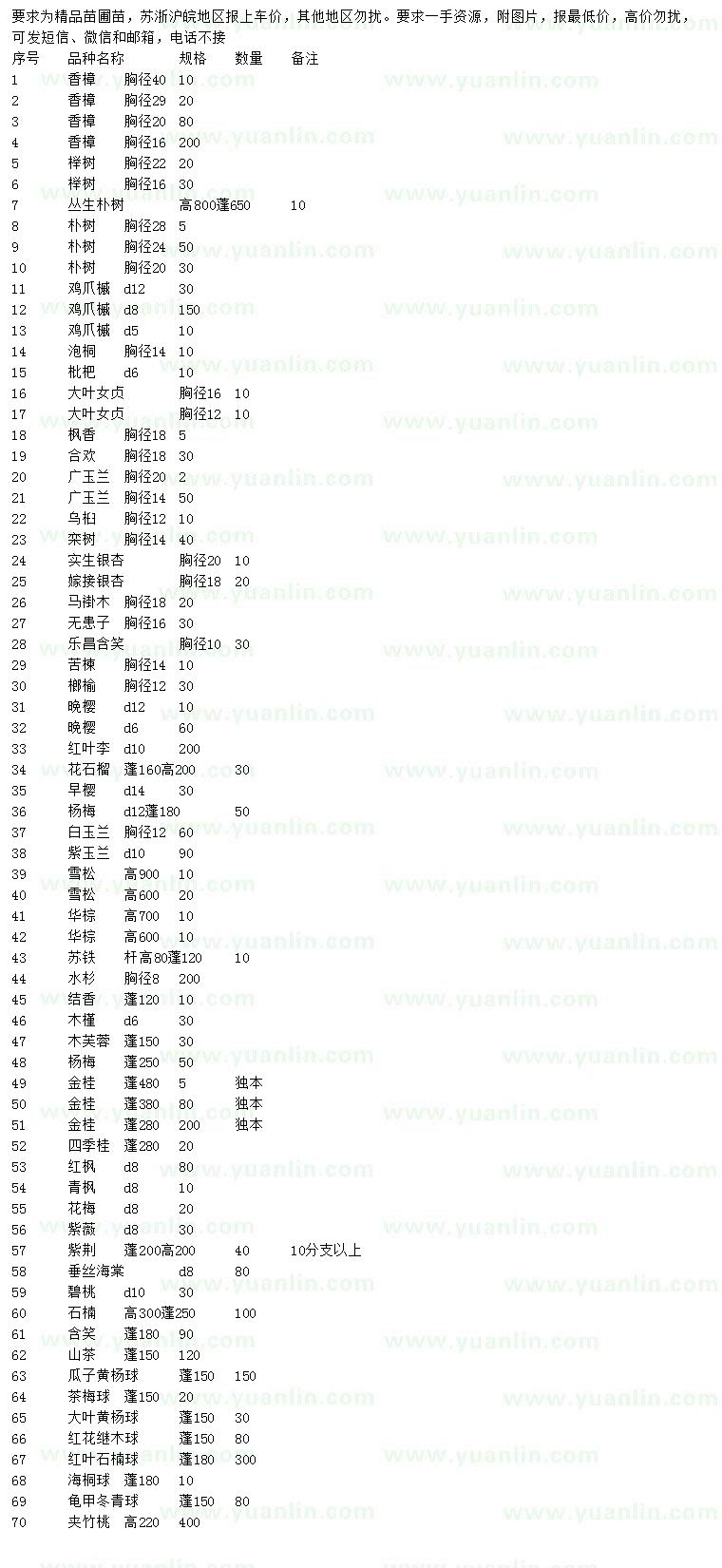 求購(gòu)香樟、櫸樹(shù)、樸樹(shù)等