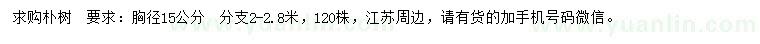 求購胸徑15公分樸樹