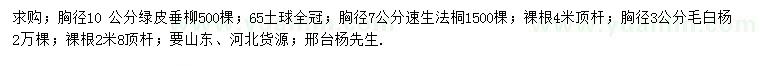 求購綠皮垂柳、速生法桐、毛白楊