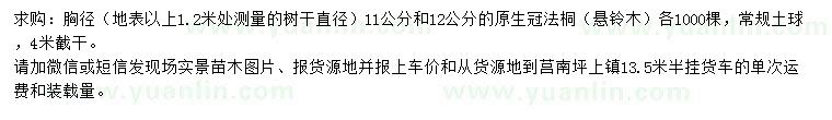 求購胸徑11、12公分法桐
