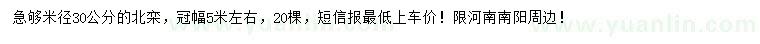 求購米徑30公分北欒