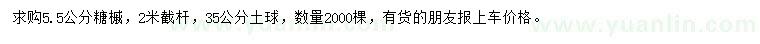 求購5.5公分糖槭