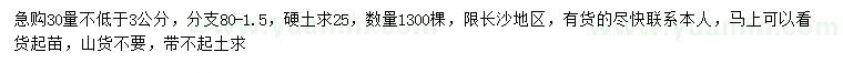 求購30量3公分八月桂