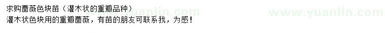 求購(gòu)薔薇色塊苗