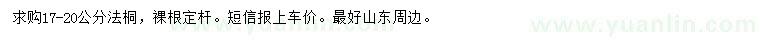 求購法桐