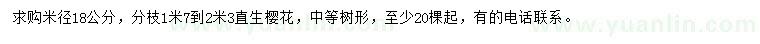 求購米徑18公分直生櫻花