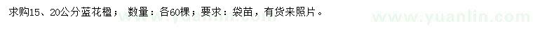求購15、20公分藍(lán)花楹