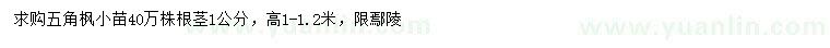 求購高1-1.2米五角楓