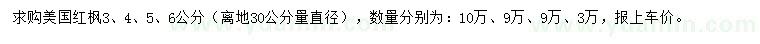 求購3、4、5、6公分美國紅楓