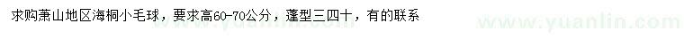 求購高60-70公分海桐小毛球
