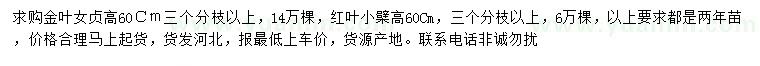 求購(gòu)高60公分金葉女貞、紅葉小檗