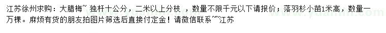 求購獨桿十公分大臘梅