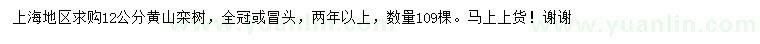 求購12公分黃山欒樹