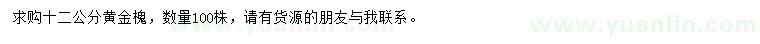 求購12公分黃金槐
