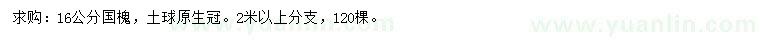 求購16公分國槐
