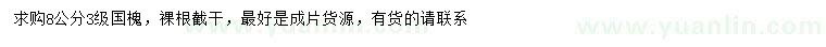 求購8公分國槐