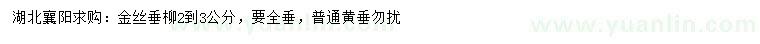 求購2-3公分金絲垂柳