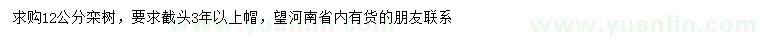 求購(gòu)12公分欒樹(shù)