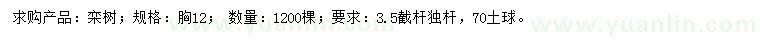求購(gòu)小砍12公分欒樹