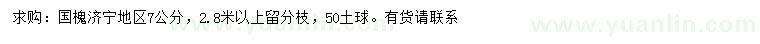 求購(gòu)7公分國(guó)槐