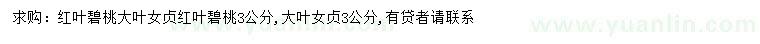 求購3公分紅葉碧桃、大葉女貞