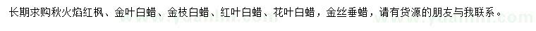 求購(gòu)秋火焰紅楓、金葉白蠟、金枝白蠟等