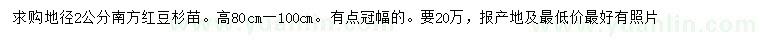 求購地徑2公分南方紅豆杉