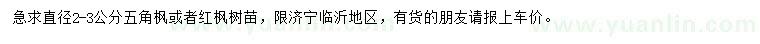 求購直徑2-3公分五角楓或者紅楓