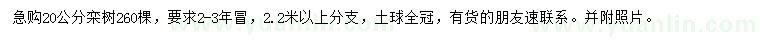 求購20公分欒樹