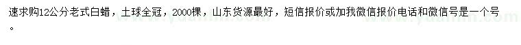 求購12公分老式白蠟