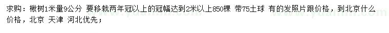 求購1米量9公分楸樹