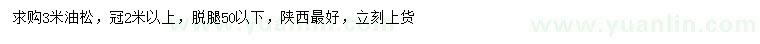 求購3米油松