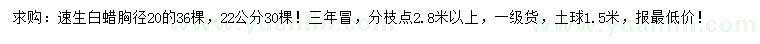 求購(gòu)胸徑20、22公分速生白蠟