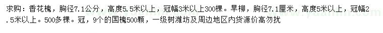 求購香花槐、旱柳、國槐