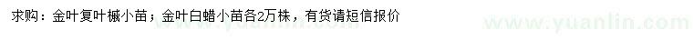 求購金葉復(fù)葉槭、金葉白蠟小苗