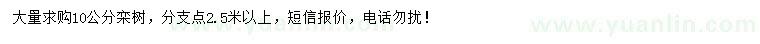 求購10公分欒樹