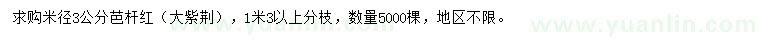 求購米徑3公分大紫荊