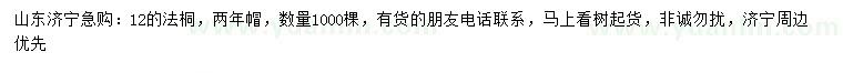 求購12公分法桐