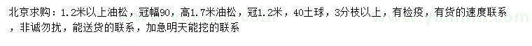 求購1.2米以上、1.7米油松