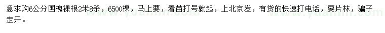 求購6公分國槐