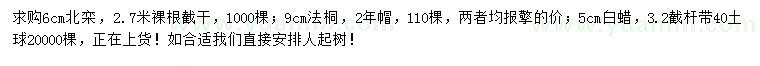求購北欒、法桐、白蠟