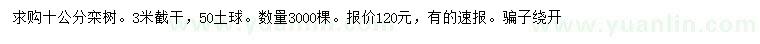 求購10公分欒樹