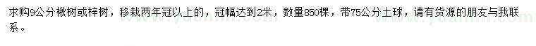求購9公分楸樹、梓樹