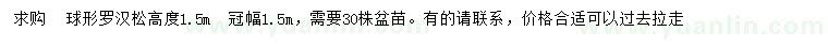 求購(gòu)高1.5米球形羅漢松