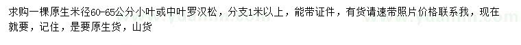 求購(gòu)米徑60-65公分小葉或中葉羅漢松