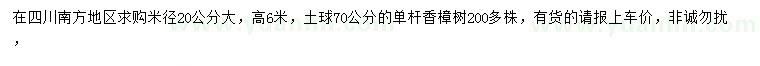 求購米徑20公分香樟