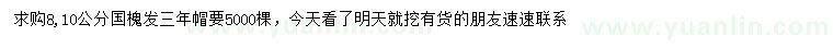 求購8、10公分國槐