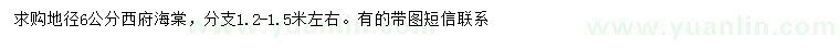 求購(gòu)地徑6公分西府海棠