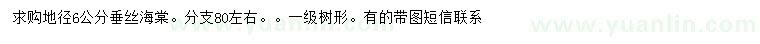 求購地徑7公分杏樹