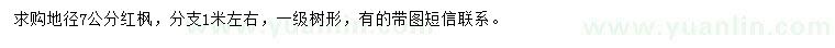 求購地徑7公分紅楓